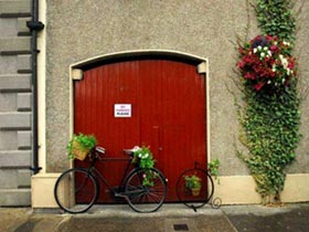 My bikes outside my gate